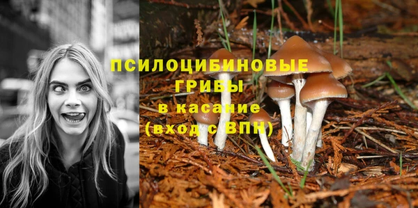 Альфа ПВП Арсеньев